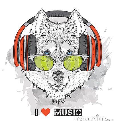 Husky in glasses and headphones. Vector illustration. Vector Illustration