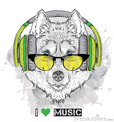 Husky in glasses and headphones. Vector illustration. Vector Illustration