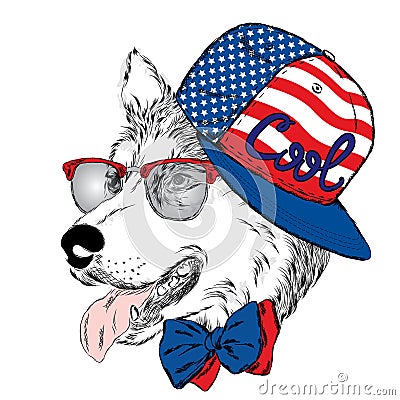 Husky wearing a cap and a tie. Vector Illustration