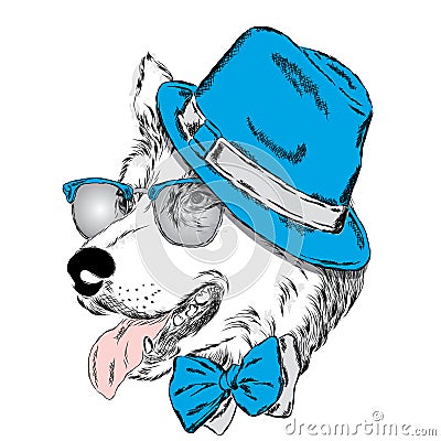 Husky wearing a hat , sunglasses and a tie . Vector Illustration