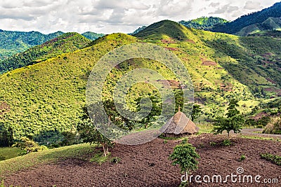 Hut in the Bonga forest reserve in southern Ethiopia Stock Photo