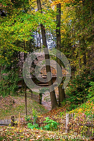 Hut in the forest Stock Photo