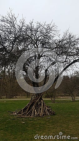 Hut under the tree Stock Photo