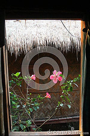 Hut near windows flowers Stock Photo