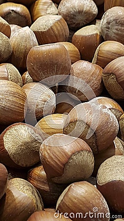 Huzelnut background. Stock Photo