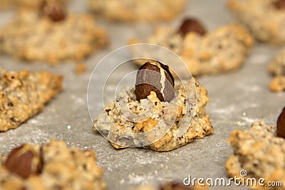 Huzelnut macaroon Stock Photo