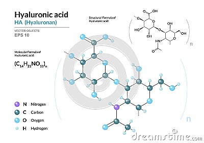 Hyaluronic acid. HA Hyaluronan. Structural chemical formula and molecule 3d model. Atoms with color coding. Vector Vector Illustration