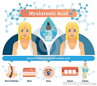 Hyaluronic acid vector illustration. Anti aging cell health benefits. Vector Illustration