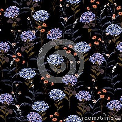 Hydenyear pattern flowers Pattern Isolated on black color. Botanical Floral Decoration Texture. Hand drawing Design . Stock Photo