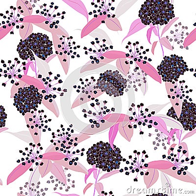 Hydenyear pattern seamless flowers Pattern Isolated on white col Stock Photo