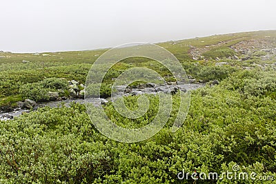 Hydnefossen waterfall and Hydna river, VeslehÃ¸dn Veslehorn mountain, Hemsedal, Norway Stock Photo