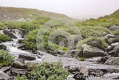 Hydnefossen waterfall and Hydna river, VeslehÃ¸dn Veslehorn mountain, Hemsedal, Norway Stock Photo