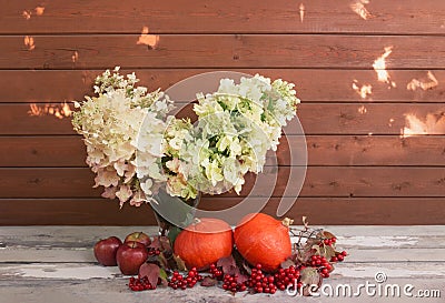 Hydrangea, apples, viburnum berries and pumpkins on rustic wooden table. Stock Photo