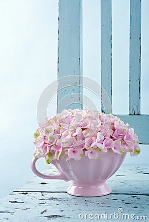 Hydrangea flowers on a vintage chair Stock Photo