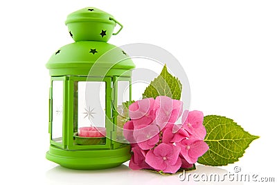Hydrangea with green lantern Stock Photo