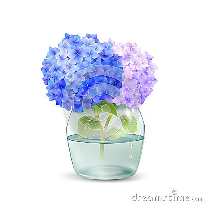 Hydrangea In Jar Vector Illustration