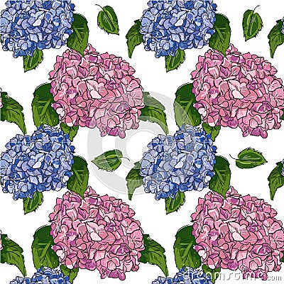 Hydrangea vector seamless pattern with green leaves, imitating ink and watercolor on white background. Hand-drawn flower heads. Stock Photo