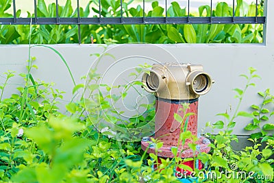 Hydrant fire in the garden Stock Photo