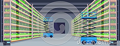 Hydraulic scissors lift platforms in modern organic hydroponic vertical farm interior agriculture farming system concept Vector Illustration