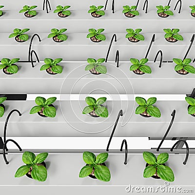 Hydroponic Growing System with Independent Water Tank Stock Photo