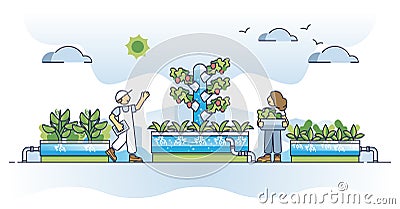 Hydroponics farming as horticulture plant growing method outline concept Vector Illustration