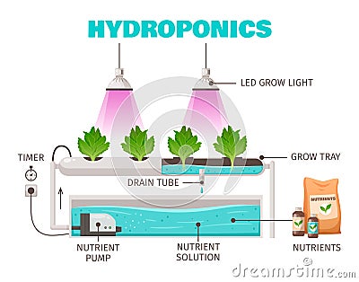 Hydroponics Farming Concept Vector Illustration