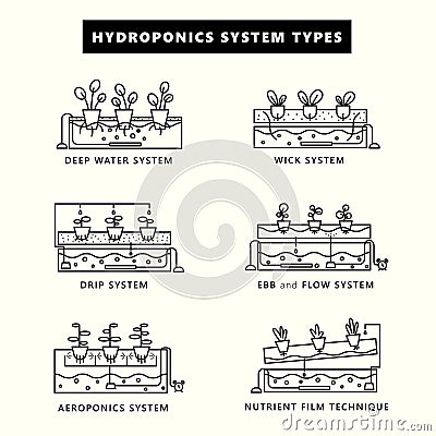 Hydroponics system types. Icon set in outline style. Cartoon Illustration
