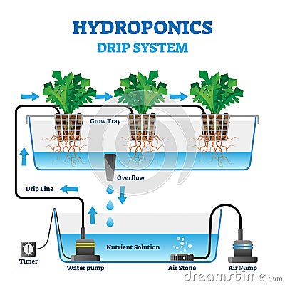 Hydroponics vector illustration. Labeled drip system explanation scheme. Vector Illustration