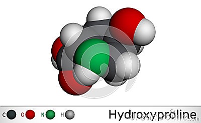 Hydroxyproline , Hyp, C5H9NO3 molecule. It is is a common proteinogenic amino acid and a major component of the protein collagen. Stock Photo