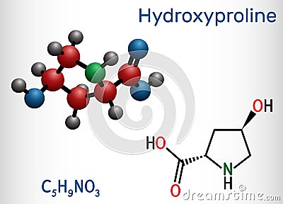 Hydroxyproline , Hyp, C5H9NO3 molecule. It is is a common proteinogenic amino acid and a major component of the protein collagen. Vector Illustration