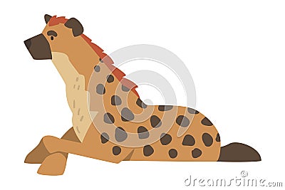 Hyena as Carnivore Mammal with Spotted Coat and Rounded Ears Sitting Vector Illustration Vector Illustration