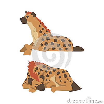 Hyena as Carnivore Mammal with Spotted Coat and Rounded Ears Sleeping and Sitting Vector Set Stock Photo