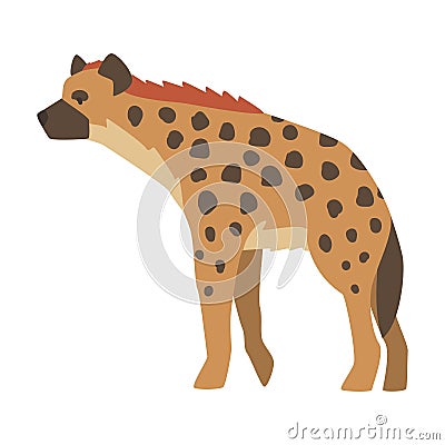 Hyena as Carnivore Mammal with Spotted Coat and Rounded Ears Standing Vector Illustration Vector Illustration