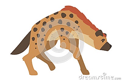 Hyena as Carnivore Mammal with Spotted Coat and Rounded Ears Walking Vector Illustration Vector Illustration