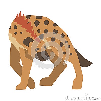 Hyena as Carnivore Mammal with Spotted Coat and Rounded Ears Walking Vector Illustration Vector Illustration