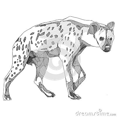 Hyena sketch Vector Illustration