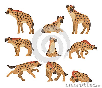 Hyenas as Carnivore Mammal with Spotted Coat and Rounded Ears Sitting, Standing and Attacking Vector Set Vector Illustration