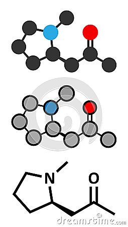 Hygrine coca alkaloid molecule Vector Illustration