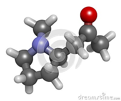 Hygrine coca alkaloid molecule. 3D rendering. Atoms are represented as spheres with conventional color coding: hydrogen (white), Stock Photo