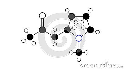 hygrine molecule, structural chemical formula, ball-and-stick model, isolated image pyrrolidine alkaloid Stock Photo