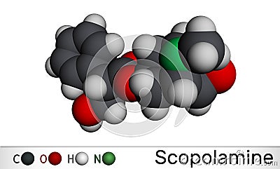 Hyoscine, scopolamine. L-Scopolamine molecule. It is natural plant alkaloid, psychoactive, anticholinergic, antimuscarinic drug. Stock Photo