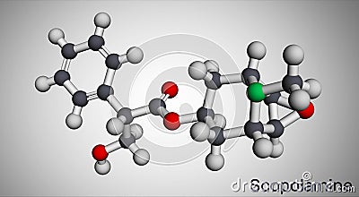 Hyoscine, scopolamine. L-Scopolamine molecule. It is natural plant alkaloid, psychoactive, anticholinergic, antimuscarinic drug. Stock Photo