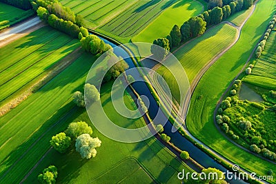 Hyper-detailed aerial image, plane view, green fields, river, trees, AI generated image Cartoon Illustration