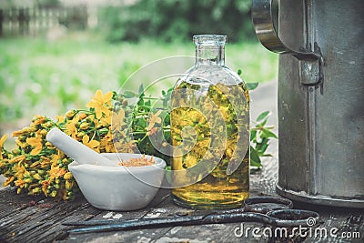 HSt Johns wort plants, oil or infusion transparent bottle, mortar on wooden table outdoors. Stock Photo