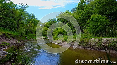 Härlig flödande flod som omges av Forest Trees i sommar Synvinkel från Treelined flodkust inom skogsmark arkivfilmer Härlig flödande flod som omges av Forest Trees i sommar Synvinkel från Treelined flodkust inom skogsmark arkivfilmer