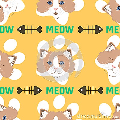 RagdollÂ Cat emoticons showing different emotions. RagdollÂ Cat head seamless pattern background. Vector Illustration