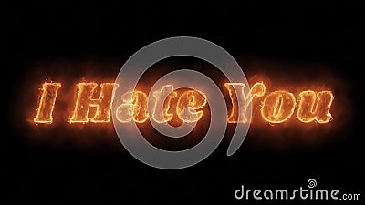 Love Word Hot Animated Burning Realistic Fire Flame Loop. Stock Footage ...