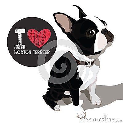 I Love Boston Terrier Vector Illustration