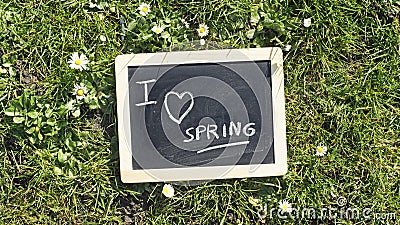 I love spring Stock Photo
