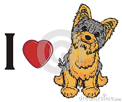 I love yorkie Stock Photo